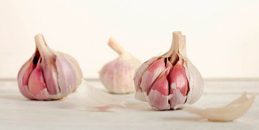 Is Garlic Really A Superfood? - Sundried