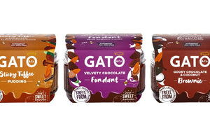 GATO & Co Healthy Desserts Review